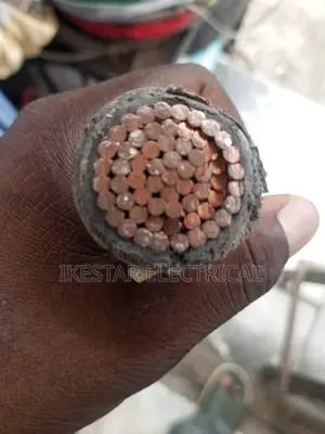 500mmx1core Armoured Cable