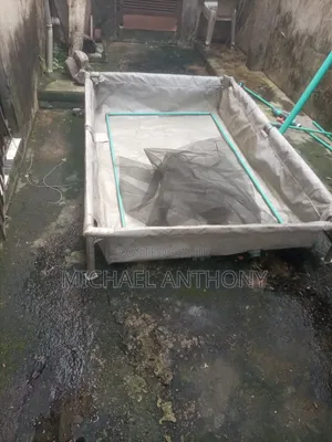 Tapollin Fish Pond