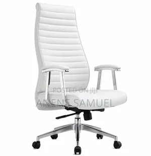 Executive Office Chair