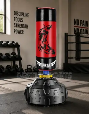 Standing Punching Bag
