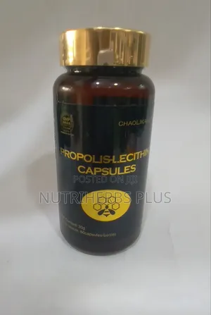 Propolis Lecitihin Capsules (For Antioxidant Effects Immune Support)