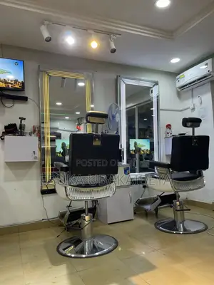 Salon Chair and TV Mirror