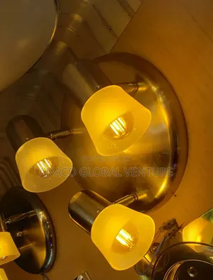 3 Light Adjustable Ceiling Spot Light Silver Colour