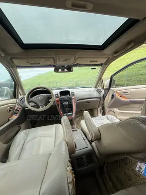 Lexus RX 300 4WD 2004 Gold