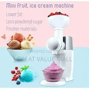 Homemade Ice Cream/Fruit Smoothie Machine