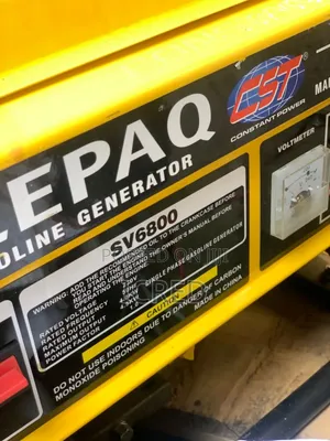 Elepaq Sv6800 Generator