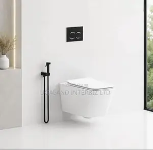 Modern White Wall Hung WC