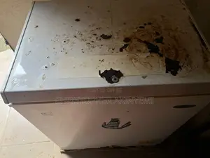 Haier Thermocool Deep Freezer