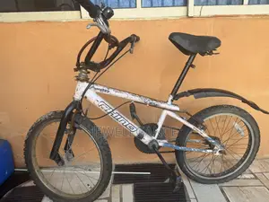 Strong 20-Inch BMX Bicycle for Boys & Girls (Teens & Young Adult)