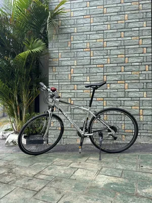 Sports/Mountain Bicycle Size 28