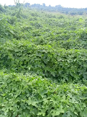 1,250sqm Mixed-Use Land at Jericho GRA