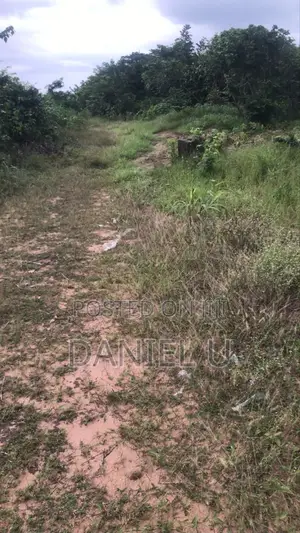 2 Plot of Land at Amoji, Oforola, Owerri West