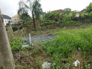 Half Plot of Land for Sale!
