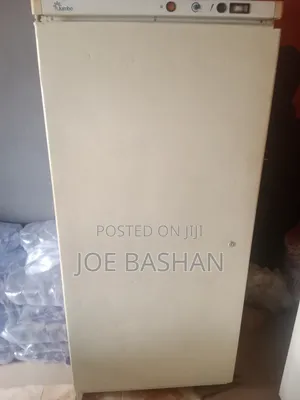 Jumbo Standing Fridge