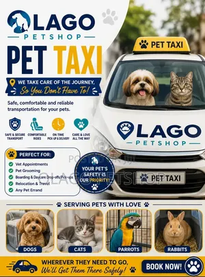 Pet Taxi Service