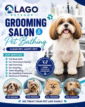 Grooming Salon Pet Bathing