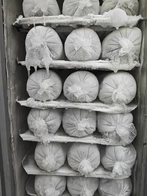 5kg Ice Blocks for Sale
