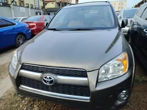 Toyota RAV4 2009 Brown