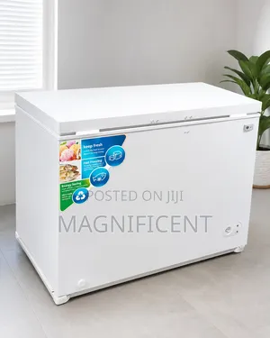 Original Brand New LG Deep Freezer 300l