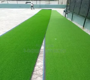 Good Quality Carpet Grass