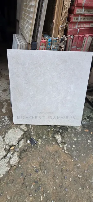 60x60 Floor Tiles Matt