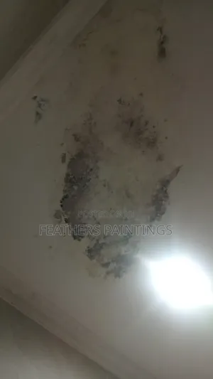 Mould Treatment and Wall Repainting