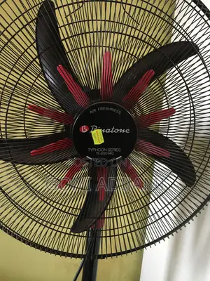 Binatone Fan