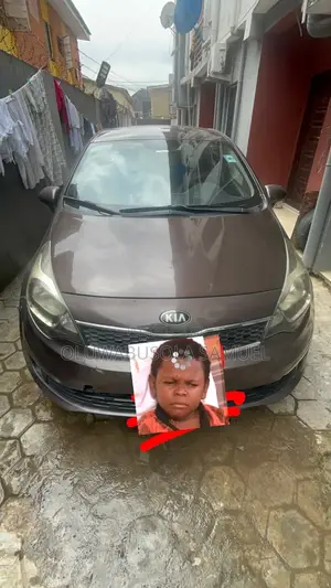 Kia Rio 2014 Brown