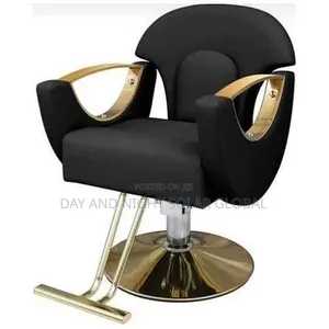 Salon Chairs