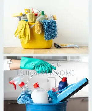 Residential Cleaning and Errand Services