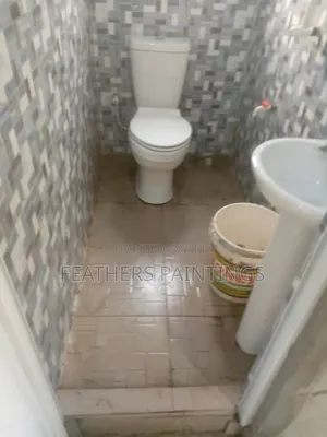 Professional Cleaning Services