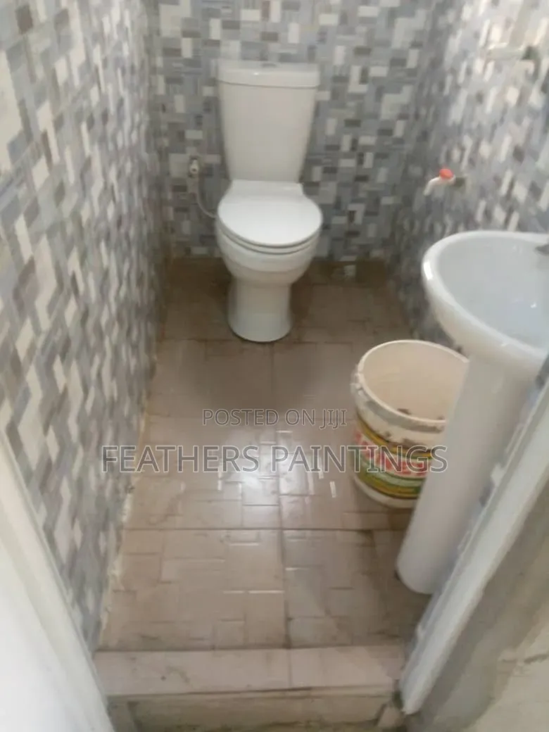 Professional Cleaning Services