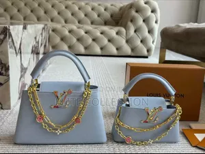 Premium Louis Vuitton Luxury Big and Small Size Colors as Displayed