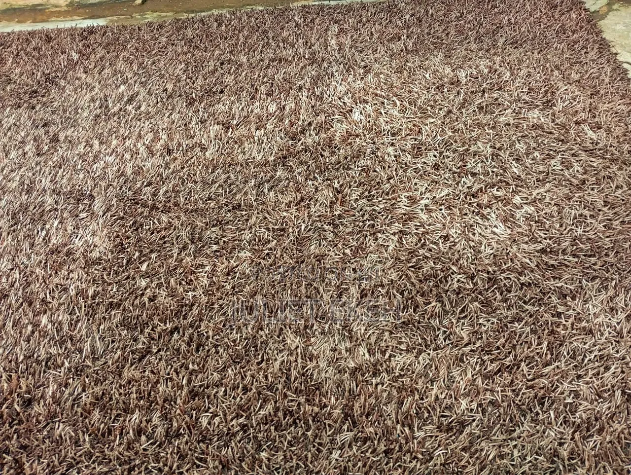 Parlour Rug