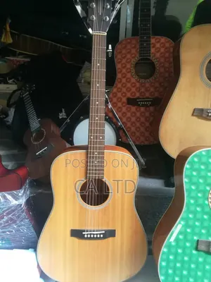 Acoustic Box Guitar