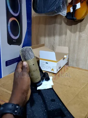 High Quality Condenser Microphone