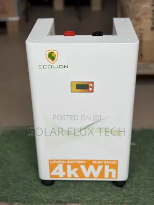 4Kwh 12v Ecolion Lithium Ion Batteries