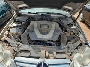 Mercedes-Benz CLK 350 Coupe 2009 Silver