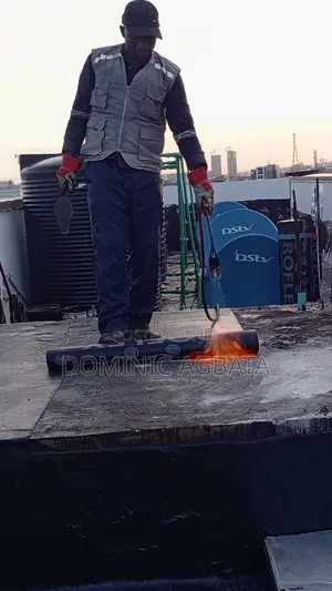 Ebulliently Roof Waterproofing Specialists