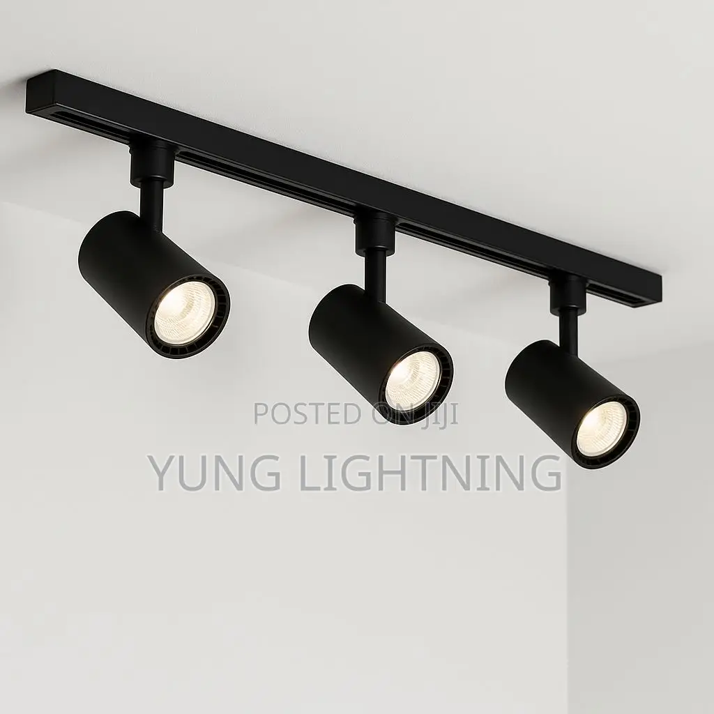 Track Light