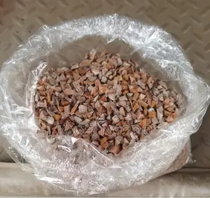 Avocado Dried Seeds