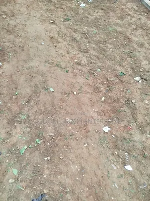 2000sqm Land Old Ikoyi Lagos