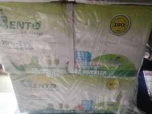 1kva 12v Lento Power Inverter