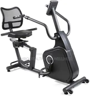 Recumbent Exercise Bike With Arm Trainer 150kg M.U.W