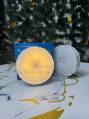 2 in 1 Night Light Sensor