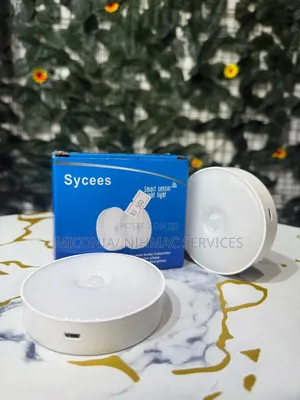 2 in 1 Night Light Sensor