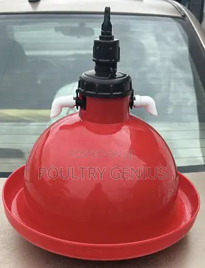 Indian Bell Drinker