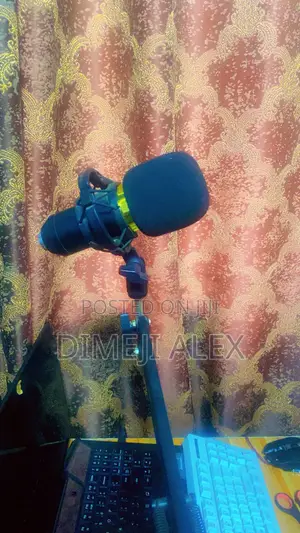 Voice Over