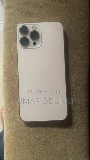 Apple iPhone 13 Pro Max 256 GB Silver