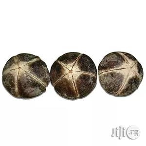 Goron Tula / Silky Kola- Pack Of 10